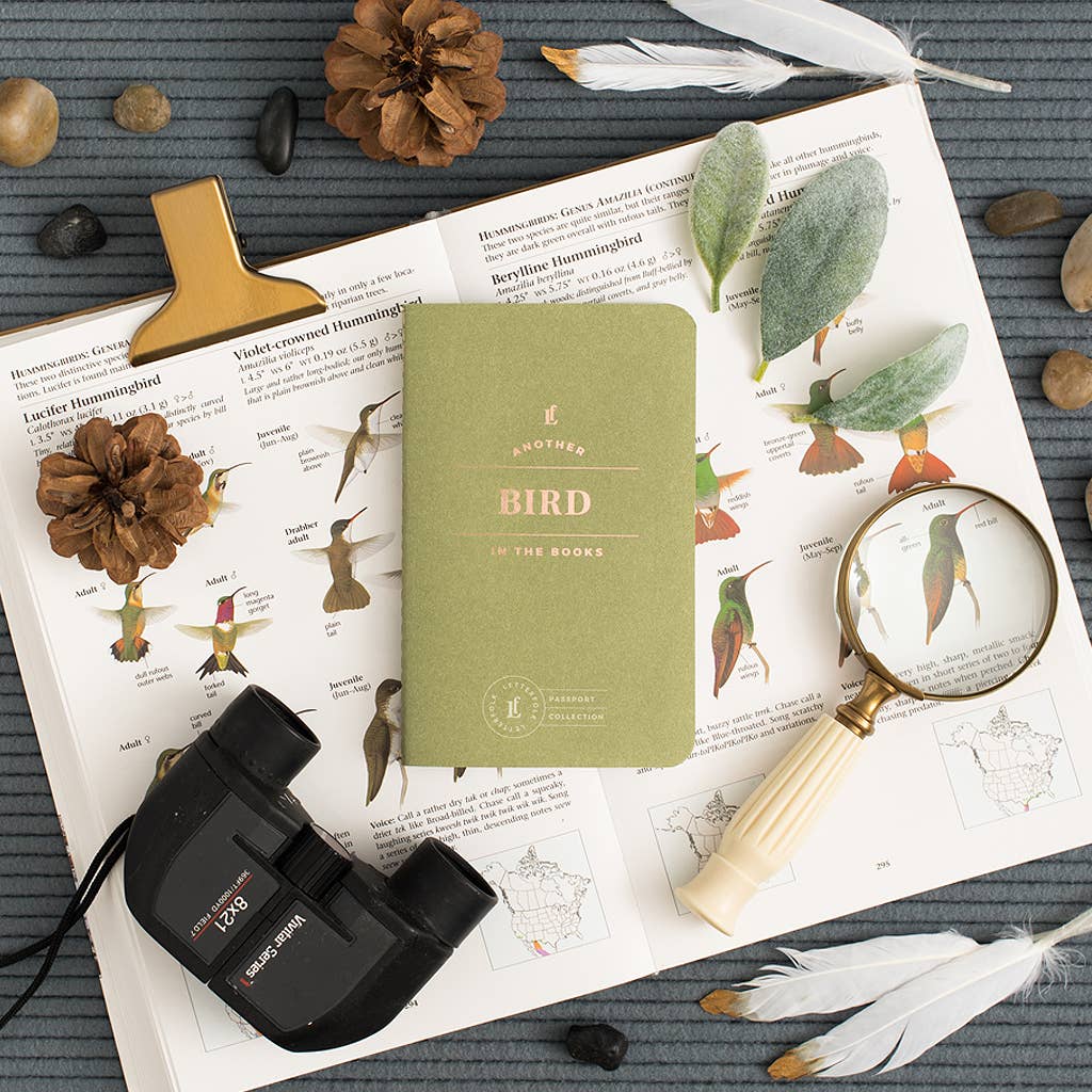 Bird | Passport