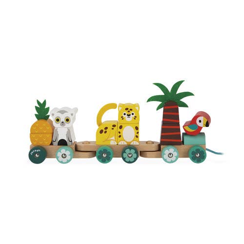 Tropical Train | Pull Along