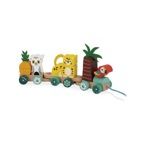 Tropical Train | Pull Along