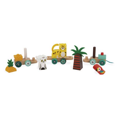 Tropical Train | Pull Along