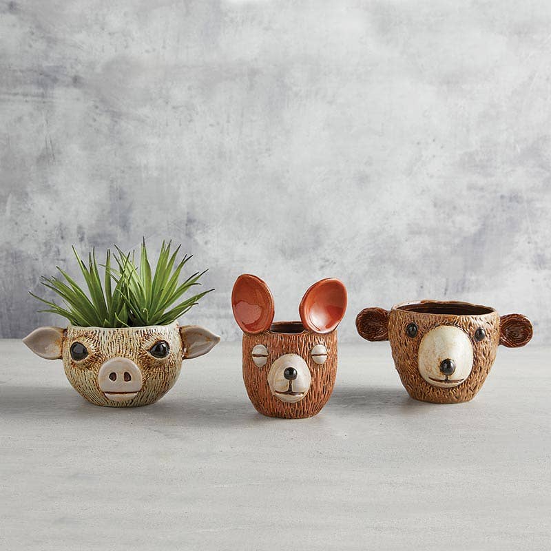 Beary Serious | Large Planter