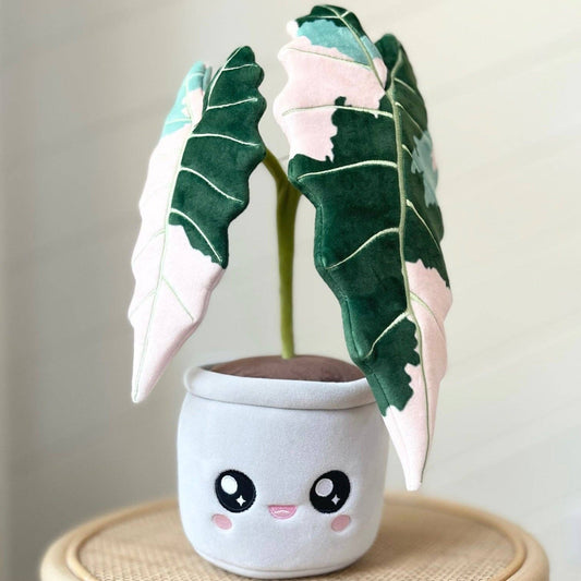 Variegated Alocasia Amazonica | Plushie